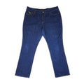 Vintage Y2K Rocawear Regnbue-monogram broderte Plus-Size Jeans