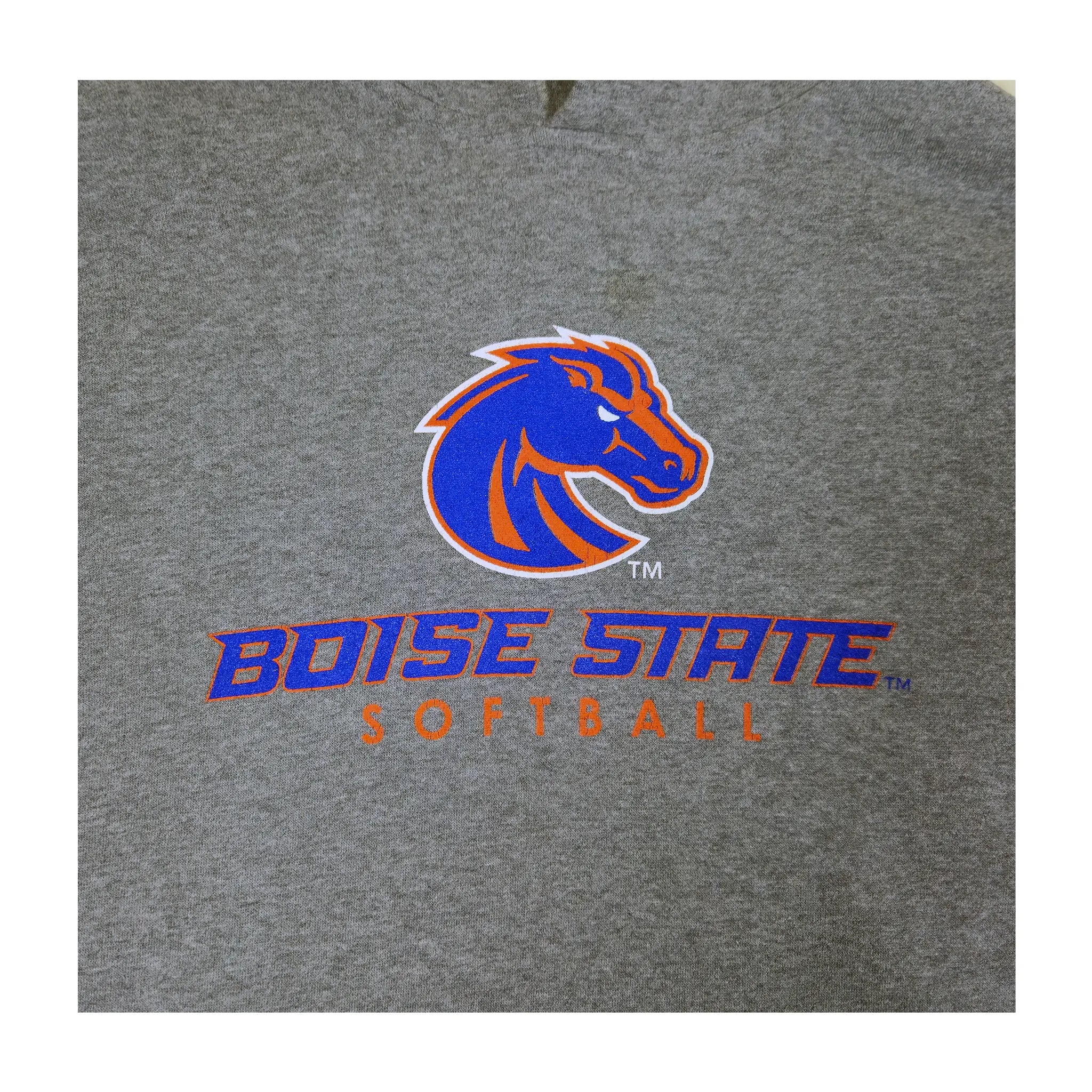 Nike Team Boise State Broncos genser